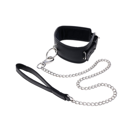 Padded Collar & Metal Leash