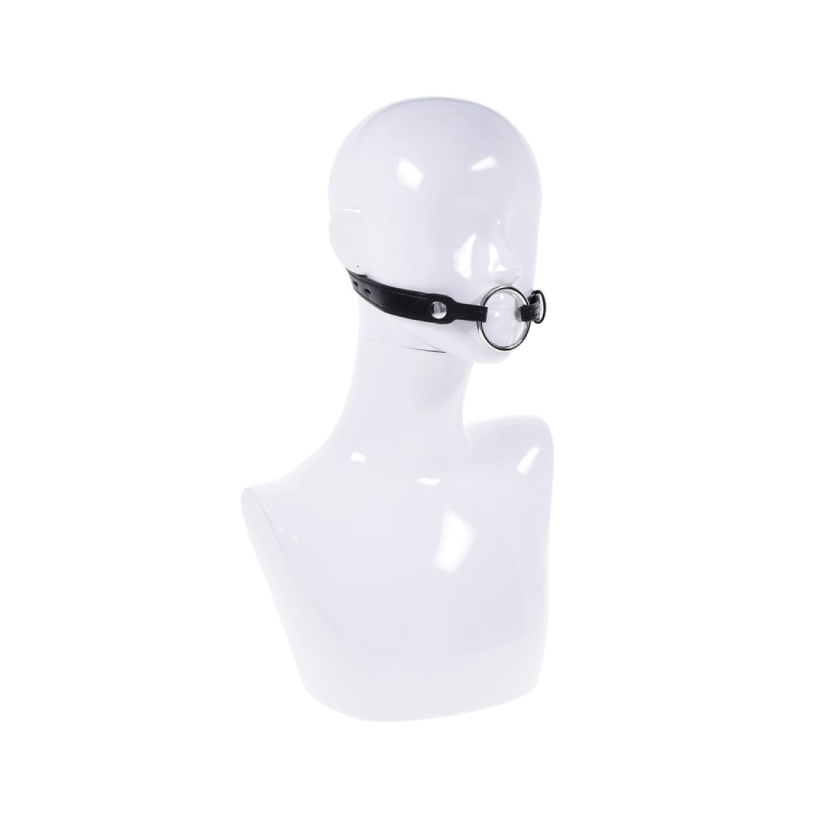 Interchangeable Ring Gag