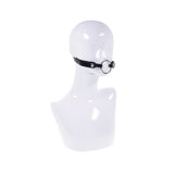Interchangeable Ring Gag