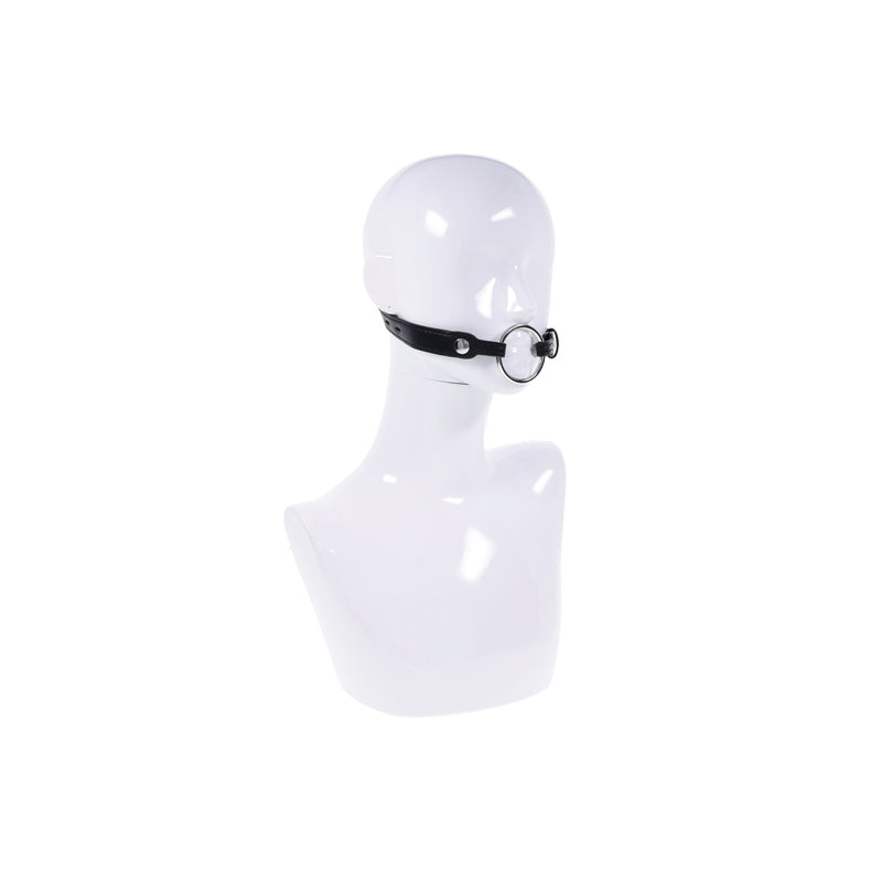 Interchangeable Ring Gag