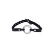 Interchangeable Ring Gag