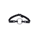 Interchangeable Ring Gag