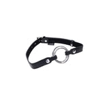 Interchangeable Ring Gag