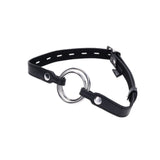 Interchangeable Ring Gag