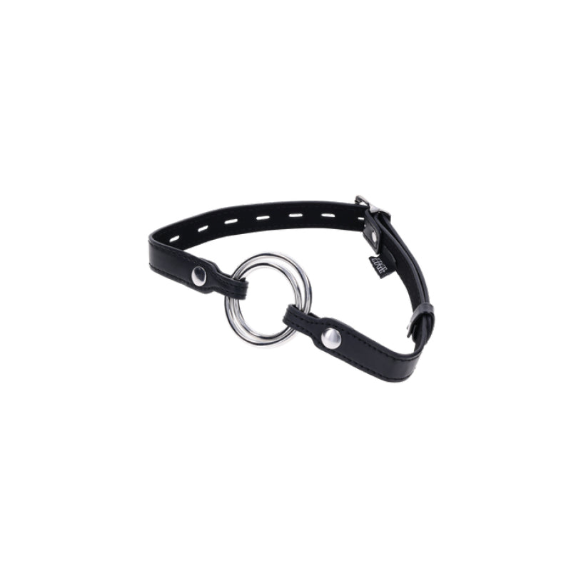 Interchangeable Ring Gag