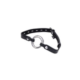 Interchangeable Ring Gag