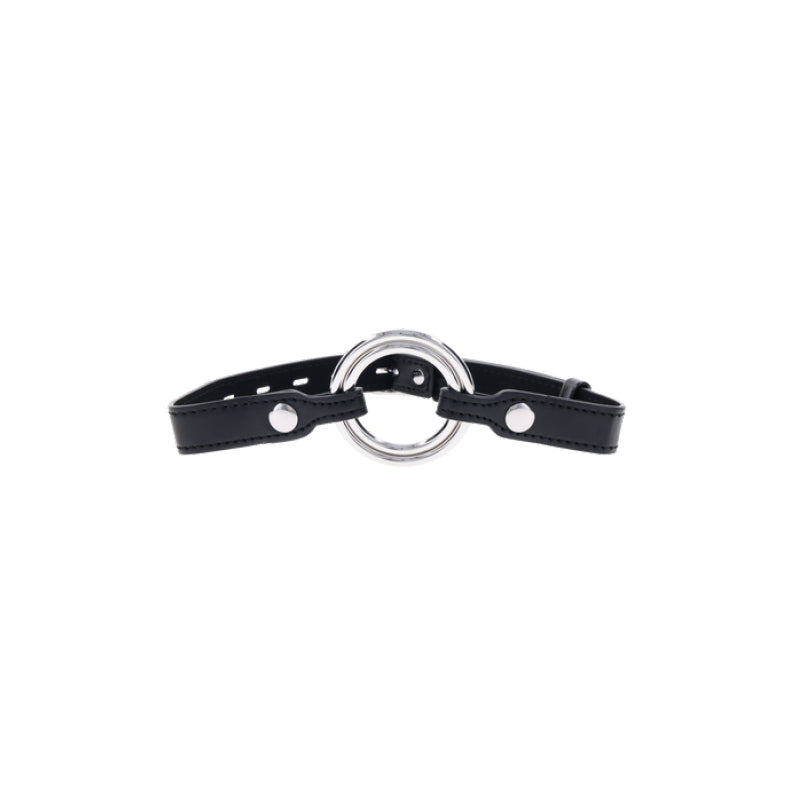 Interchangeable Ring Gag