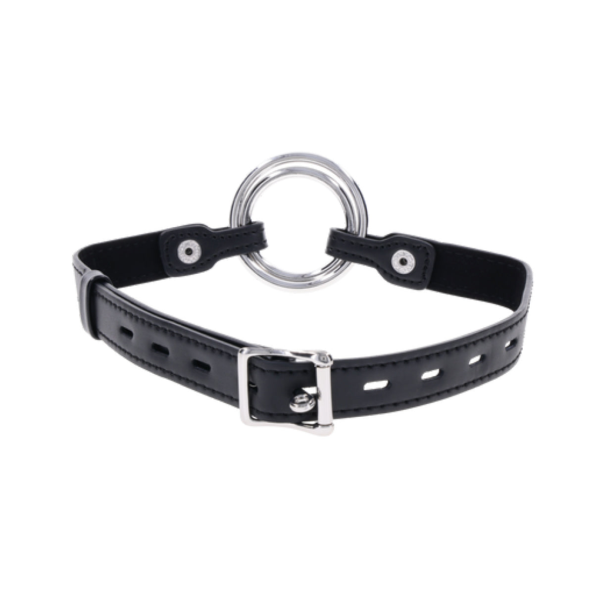 Interchangeable Ring Gag