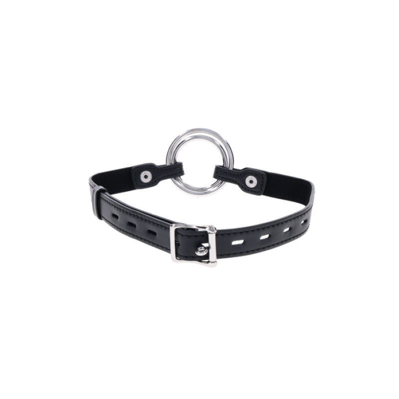 Interchangeable Ring Gag