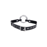 Interchangeable Ring Gag