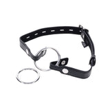 Interchangeable Ring Gag