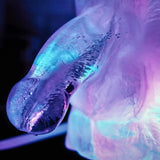 HUGE PENIS ICE LUGE Ultimate Party - CC Creative conceptions - Boutique Séduction