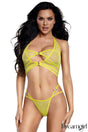 Famous IRL Fishnet Bra Set