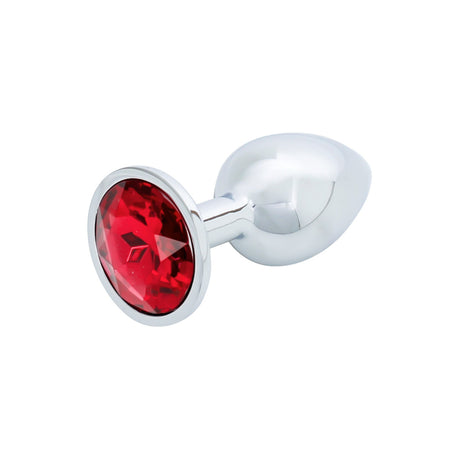 Silver Butt Plug
