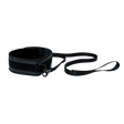 Vegan Collar and Leash