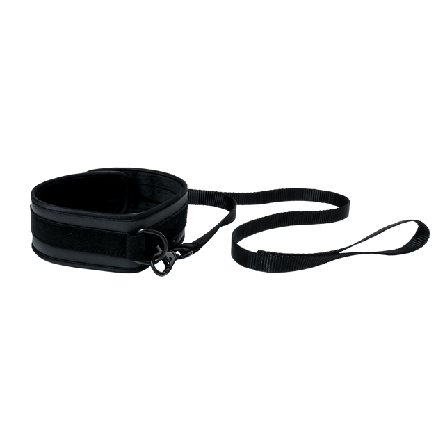 Vegan Collar and Leash