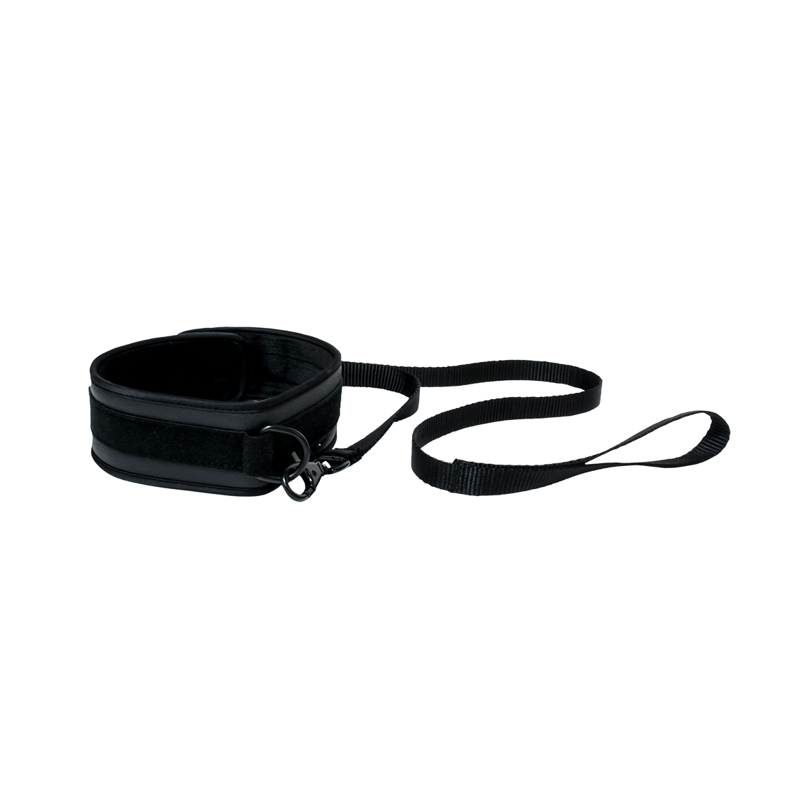Vegan Collar and Leash