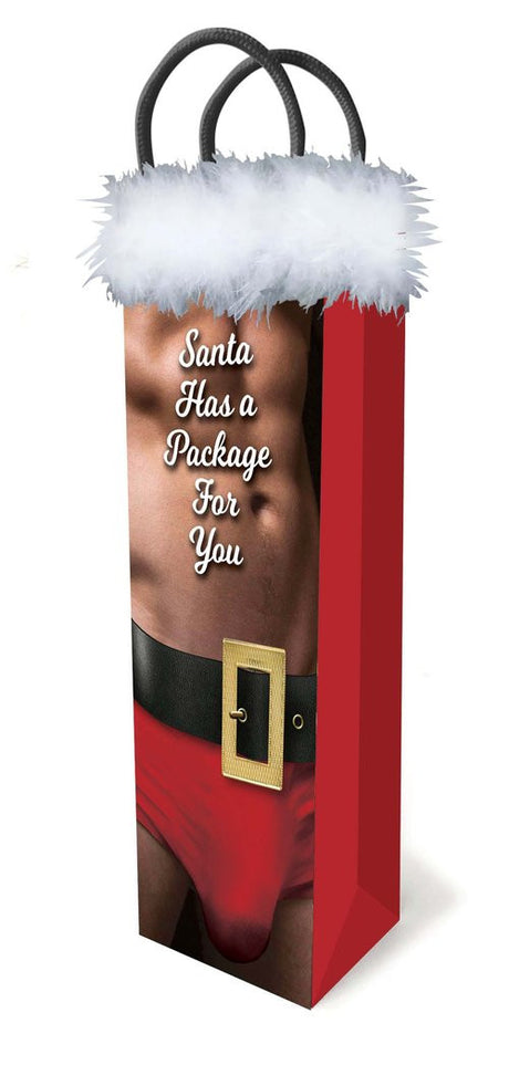 SANTA HAS A PACKAGE FOR YOU Gift Bag - LITTLE GENIE Little Genie - Boutique Séduction