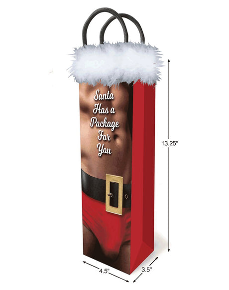 SANTA HAS A PACKAGE FOR YOU Gift Bag - LITTLE GENIE Little Genie - Boutique Séduction