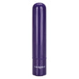 TINY TEASERS Bullet Stimulator - CALEXOTICS Mini Teasers - Boutique Séduction