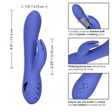 BEVERLY HILLS BUNNY Double Stimulation Vibrator - CALIFORNIA DREAMING California Dreaming - Boutique Séduction